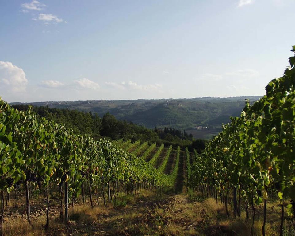Farm stay Macinello *