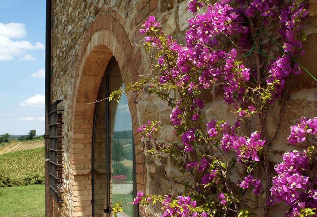 Macinello Farm stay Montefiridolfi