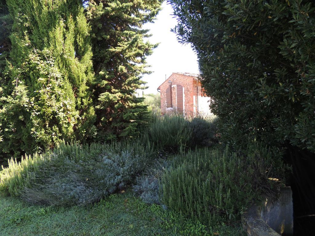 Farm stay Macinello *