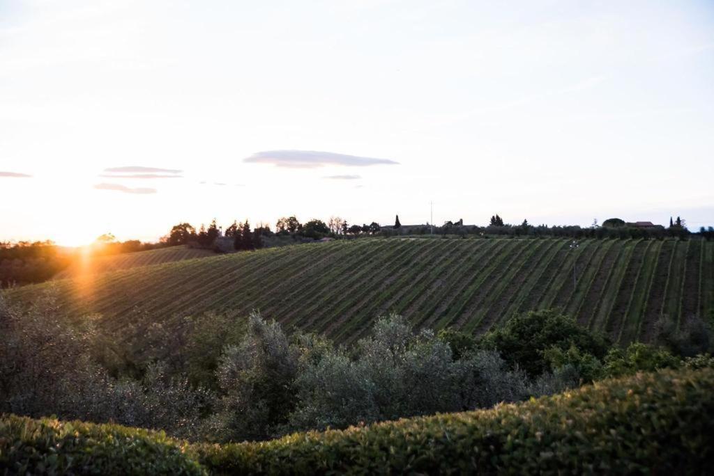 Macinello Farm stay Montefiridolfi
